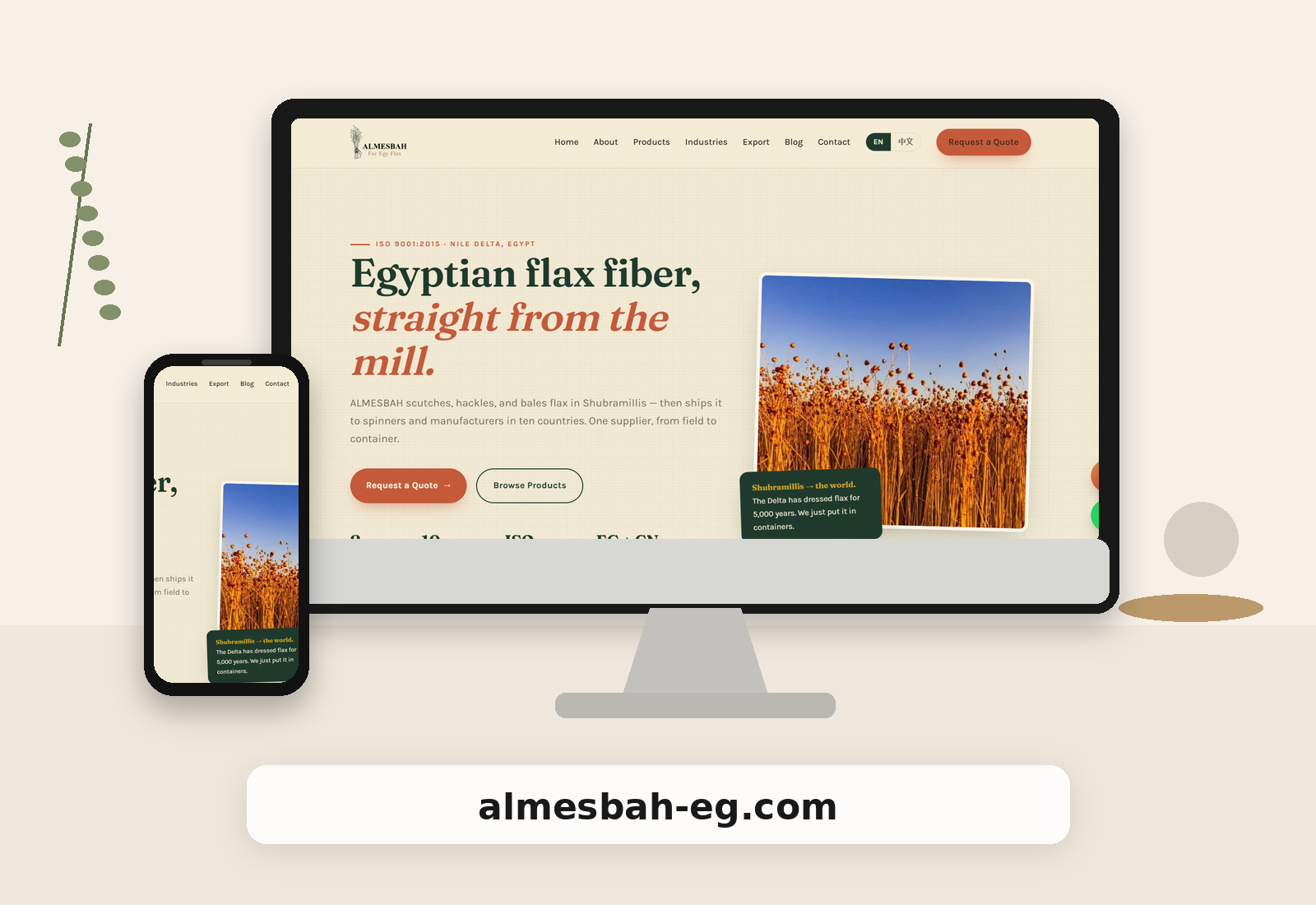 المصباح 